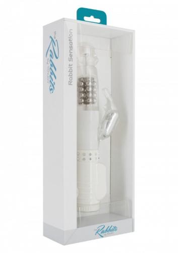 nyulerzekelo_vibrator-Nyulerzekelo_vibrator2.jpg